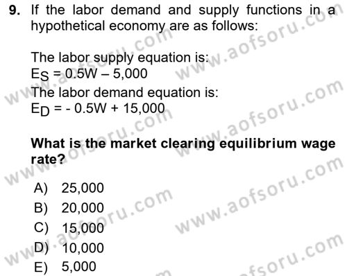 Labor Economics Dersi 2023 - 2024 Yılı (Vize) Ara Sınav Soruları 9. Soru