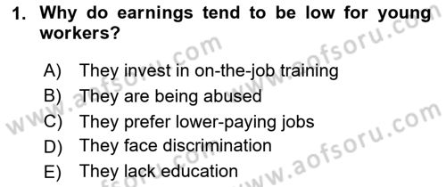Labor Economics Dersi 2023 - 2024 Yılı (Final) Dönem Sonu Sınav Soruları 1. Soru