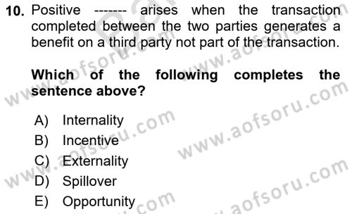 Labor Economics Dersi 2023 - 2024 Yılı (Final) Dönem Sonu Sınav Soruları 10. Soru