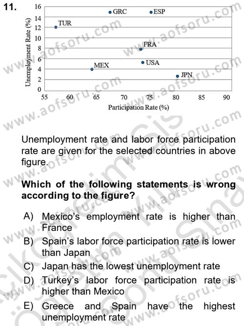 Labor Economics Dersi 2023 - 2024 Yılı (Final) Dönem Sonu Sınav Soruları 11. Soru