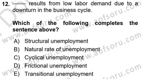 Labor Economics Dersi 2023 - 2024 Yılı (Final) Dönem Sonu Sınav Soruları 12. Soru