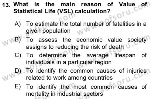 Labor Economics Dersi 2023 - 2024 Yılı (Final) Dönem Sonu Sınav Soruları 13. Soru