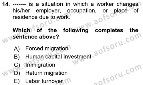 Labor Economics Dersi 2023 - 2024 Yılı (Final) Dönem Sonu Sınav Soruları 14. Soru