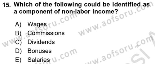 Labor Economics Dersi 2023 - 2024 Yılı (Final) Dönem Sonu Sınav Soruları 15. Soru