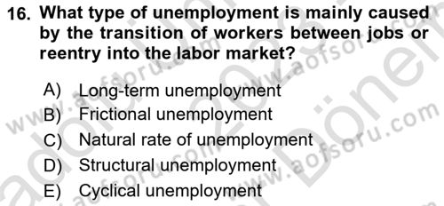 Labor Economics Dersi 2023 - 2024 Yılı (Final) Dönem Sonu Sınav Soruları 16. Soru