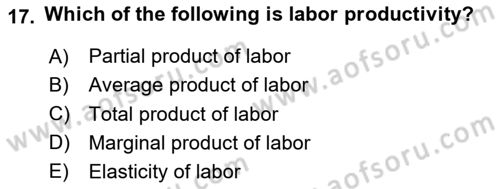 Labor Economics Dersi 2023 - 2024 Yılı (Final) Dönem Sonu Sınav Soruları 17. Soru