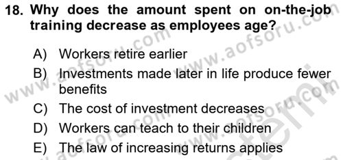 Labor Economics Dersi 2023 - 2024 Yılı (Final) Dönem Sonu Sınav Soruları 18. Soru