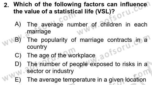 Labor Economics Dersi 2023 - 2024 Yılı (Final) Dönem Sonu Sınav Soruları 2. Soru