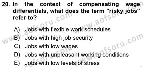 Labor Economics Dersi 2023 - 2024 Yılı (Final) Dönem Sonu Sınav Soruları 20. Soru