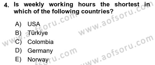 Labor Economics Dersi 2023 - 2024 Yılı (Final) Dönem Sonu Sınav Soruları 4. Soru