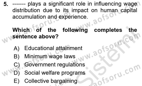 Labor Economics Dersi 2023 - 2024 Yılı (Final) Dönem Sonu Sınav Soruları 5. Soru