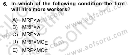 Labor Economics Dersi 2023 - 2024 Yılı (Final) Dönem Sonu Sınav Soruları 6. Soru