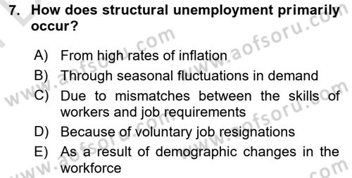 Labor Economics Dersi 2023 - 2024 Yılı (Final) Dönem Sonu Sınav Soruları 7. Soru