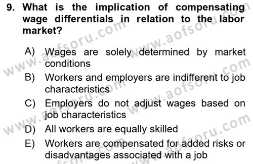 Labor Economics Dersi 2023 - 2024 Yılı (Final) Dönem Sonu Sınav Soruları 9. Soru