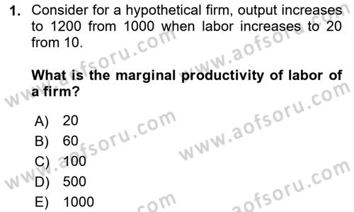 Labor Economics Dersi 2023 - 2024 Yılı Yaz Okulu Sınav Soruları 1. Soru