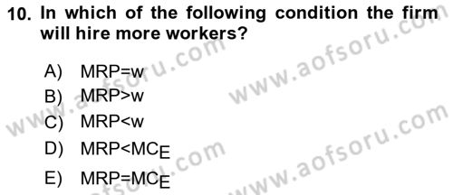 Labor Economics Dersi 2023 - 2024 Yılı Yaz Okulu Sınav Soruları 10. Soru