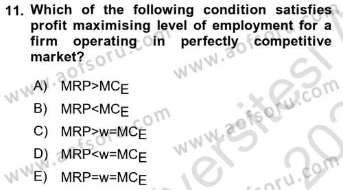 Labor Economics Dersi 2023 - 2024 Yılı Yaz Okulu Sınav Soruları 11. Soru