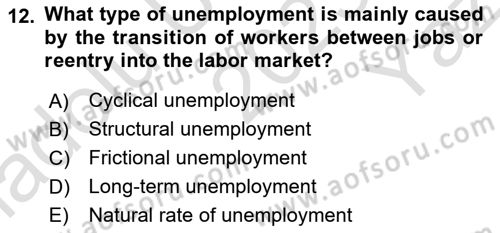 Labor Economics Dersi 2023 - 2024 Yılı Yaz Okulu Sınav Soruları 12. Soru
