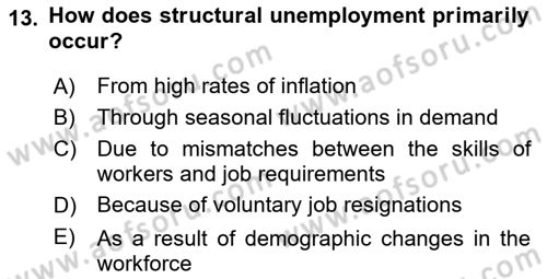 Labor Economics Dersi 2023 - 2024 Yılı Yaz Okulu Sınav Soruları 13. Soru
