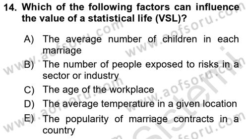 Labor Economics Dersi 2023 - 2024 Yılı Yaz Okulu Sınav Soruları 14. Soru