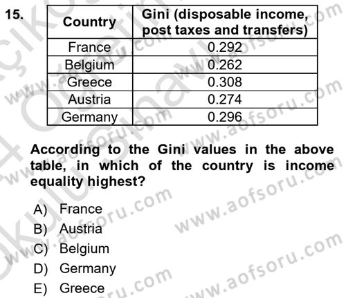 Labor Economics Dersi 2023 - 2024 Yılı Yaz Okulu Sınav Soruları 15. Soru