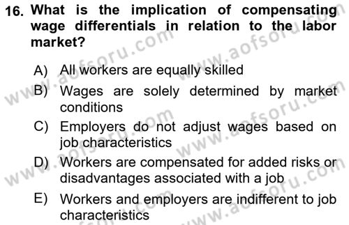 Labor Economics Dersi 2023 - 2024 Yılı Yaz Okulu Sınav Soruları 16. Soru