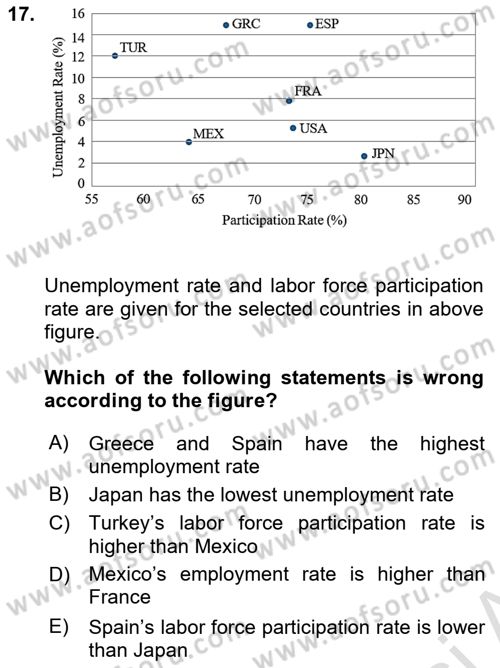 Labor Economics Dersi 2023 - 2024 Yılı Yaz Okulu Sınav Soruları 17. Soru