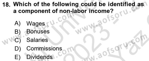 Labor Economics Dersi 2023 - 2024 Yılı Yaz Okulu Sınav Soruları 18. Soru