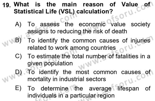 Labor Economics Dersi 2023 - 2024 Yılı Yaz Okulu Sınav Soruları 19. Soru