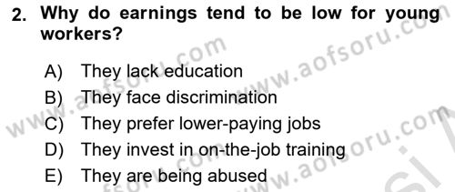Labor Economics Dersi 2023 - 2024 Yılı Yaz Okulu Sınav Soruları 2. Soru