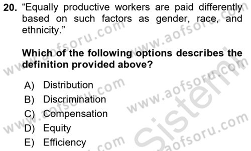 Labor Economics Dersi 2023 - 2024 Yılı Yaz Okulu Sınav Soruları 20. Soru