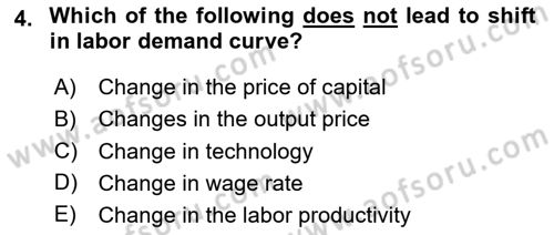 Labor Economics Dersi 2023 - 2024 Yılı Yaz Okulu Sınav Soruları 4. Soru
