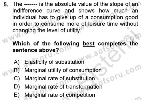 Labor Economics Dersi 2023 - 2024 Yılı Yaz Okulu Sınav Soruları 5. Soru