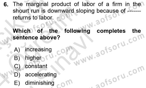 Labor Economics Dersi 2023 - 2024 Yılı Yaz Okulu Sınav Soruları 6. Soru