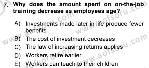 Labor Economics Dersi 2023 - 2024 Yılı Yaz Okulu Sınav Soruları 7. Soru