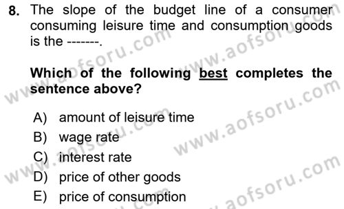 Labor Economics Dersi 2023 - 2024 Yılı Yaz Okulu Sınav Soruları 8. Soru