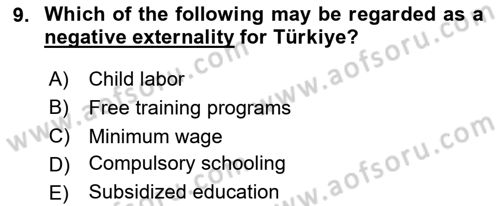 Labor Economics Dersi 2023 - 2024 Yılı Yaz Okulu Sınav Soruları 9. Soru