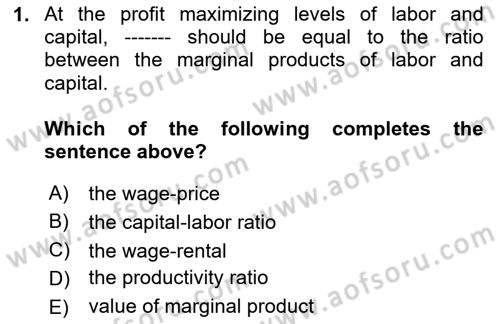 Labor Economics Dersi 2024 - 2025 Yılı (Vize) Ara Sınav Soruları 1. Soru