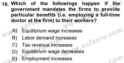 Labor Economics Dersi 2024 - 2025 Yılı (Vize) Ara Sınav Soruları 10. Soru