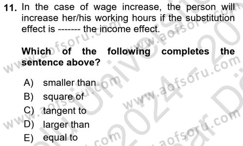 Labor Economics Dersi 2024 - 2025 Yılı (Vize) Ara Sınav Soruları 11. Soru