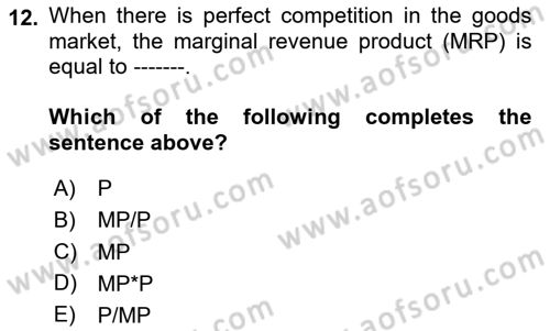 Labor Economics Dersi 2024 - 2025 Yılı (Vize) Ara Sınav Soruları 12. Soru