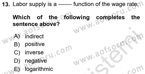 Labor Economics Dersi 2024 - 2025 Yılı (Vize) Ara Sınav Soruları 13. Soru