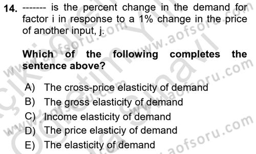 Labor Economics Dersi 2024 - 2025 Yılı (Vize) Ara Sınav Soruları 14. Soru