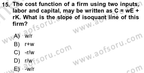 Labor Economics Dersi 2024 - 2025 Yılı (Vize) Ara Sınav Soruları 15. Soru