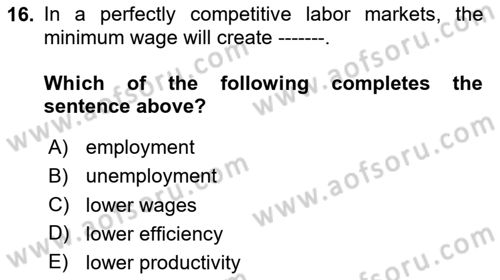 Labor Economics Dersi 2024 - 2025 Yılı (Vize) Ara Sınav Soruları 16. Soru