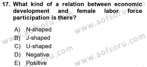 Labor Economics Dersi 2024 - 2025 Yılı (Vize) Ara Sınav Soruları 17. Soru