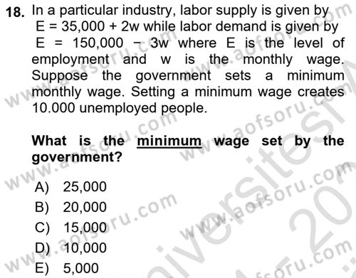Labor Economics Dersi 2024 - 2025 Yılı (Vize) Ara Sınav Soruları 18. Soru