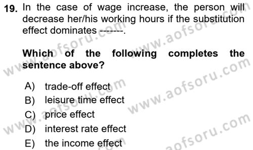 Labor Economics Dersi 2024 - 2025 Yılı (Vize) Ara Sınav Soruları 19. Soru