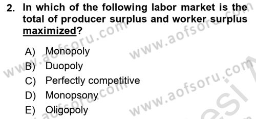 Labor Economics Dersi 2024 - 2025 Yılı (Vize) Ara Sınav Soruları 2. Soru