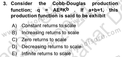 Labor Economics Dersi 2024 - 2025 Yılı (Vize) Ara Sınav Soruları 3. Soru
